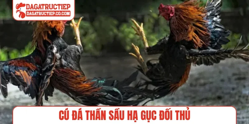 Cú đá thần sầu hạ gục đối thủ