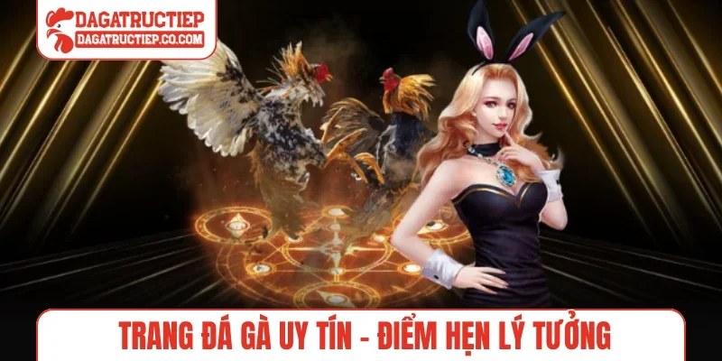 Trang đá gà uy tín