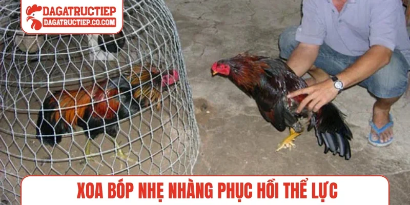 Xoa bóp nhẹ nhàng phục hồi thể lực